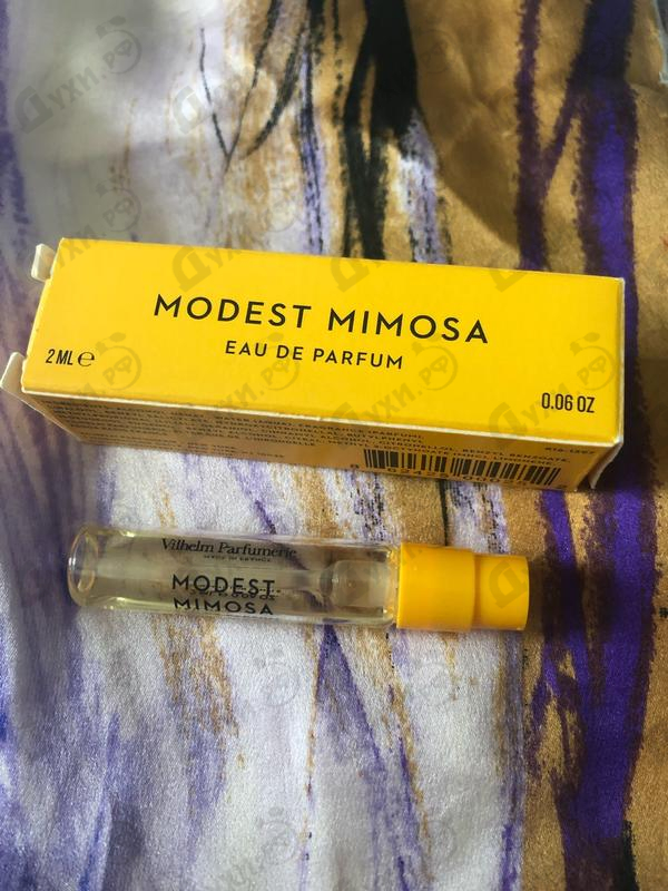 Духи Modest Mimosa от Vilhelm Parfumerie