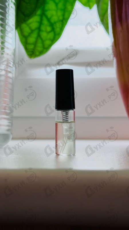 Купить Morning Chess от Vilhelm Parfumerie