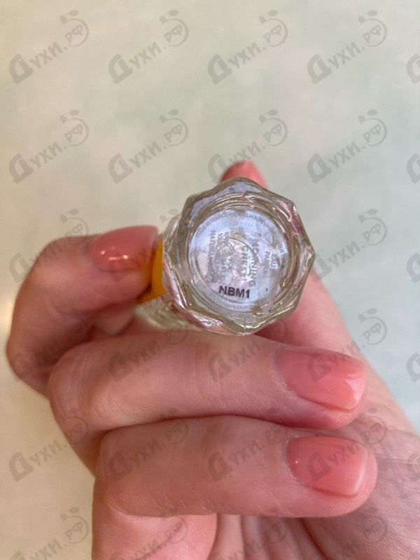 Купить Morning Chess от Vilhelm Parfumerie