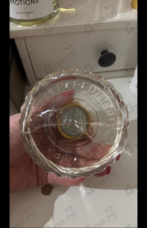 Купить Purple Fig от Vilhelm Parfumerie