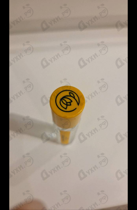 Парфюмерия Room Service от Vilhelm Parfumerie