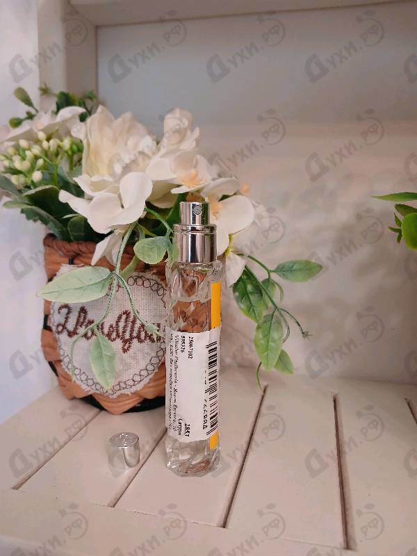 Парфюмерия Room Service от Vilhelm Parfumerie