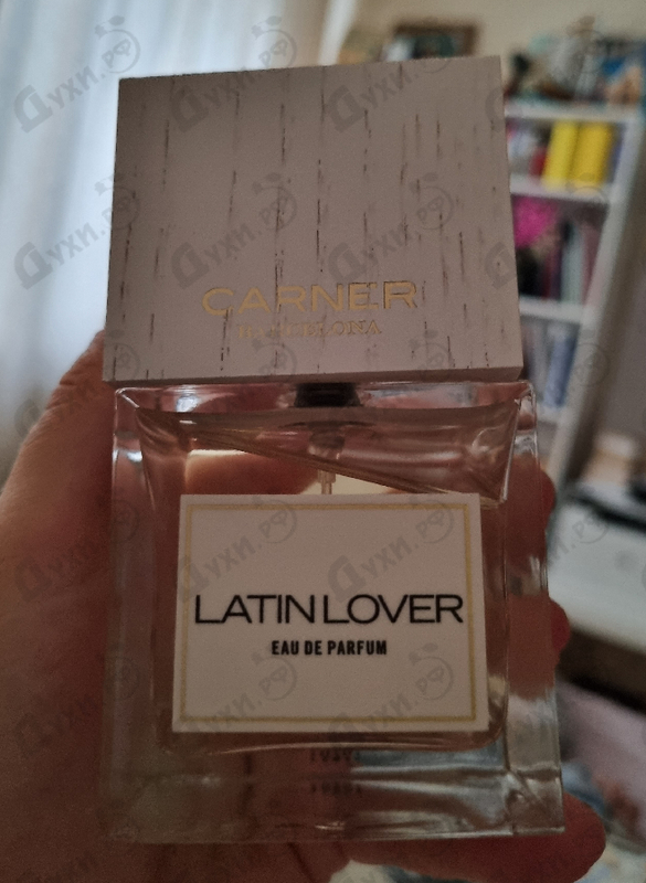 Купить Latin Lover от Carner Barcelona Отзывы Carner Barcelona Latin Lover