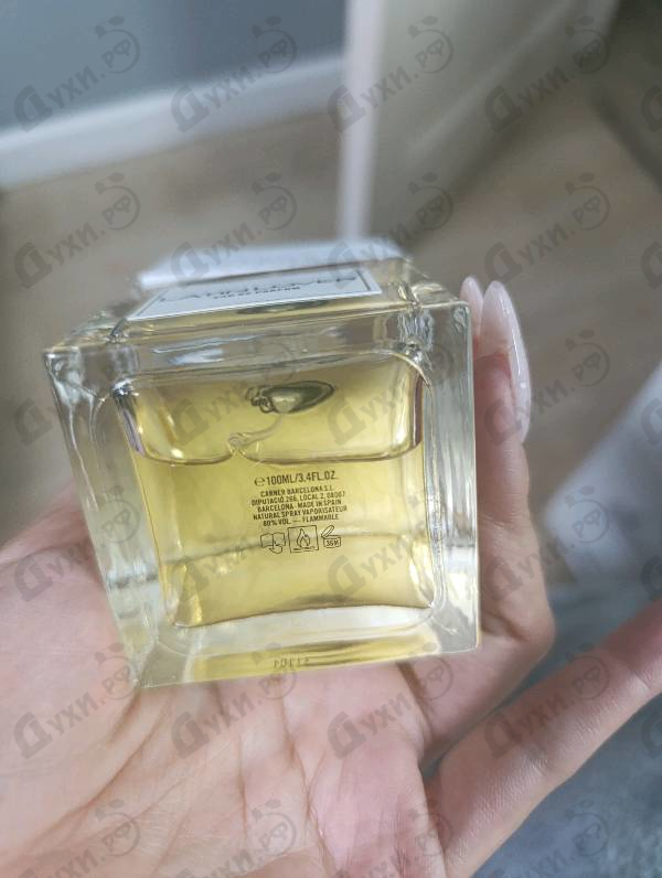 Парфюмерия Latin Lover от Carner Barcelona