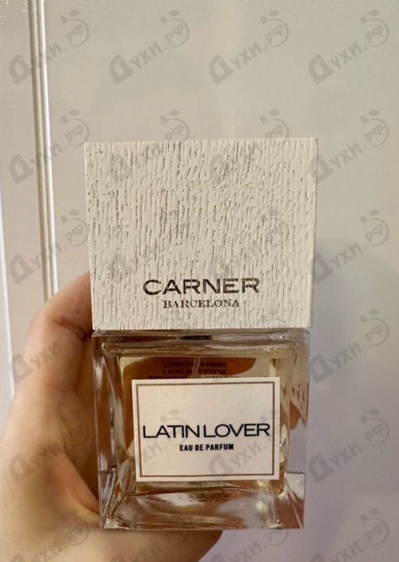 Купить Latin Lover от Carner Barcelona