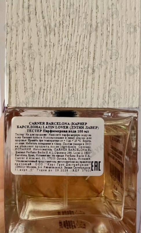 Купить Latin Lover от Carner Barcelona