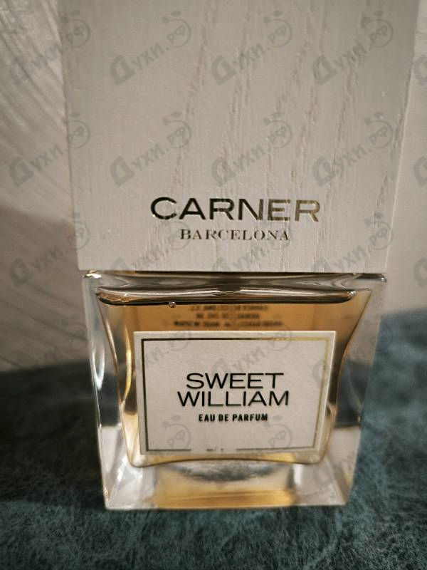 Парфюмерия Sweet William от Carner Barcelona