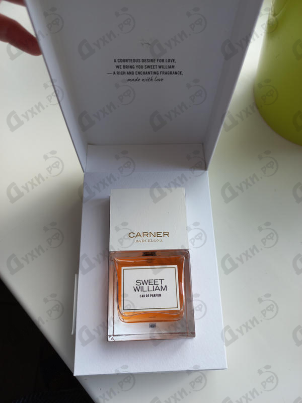 Купить Carner Barcelona Sweet William