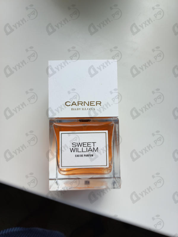 Отзыв Carner Barcelona Sweet William