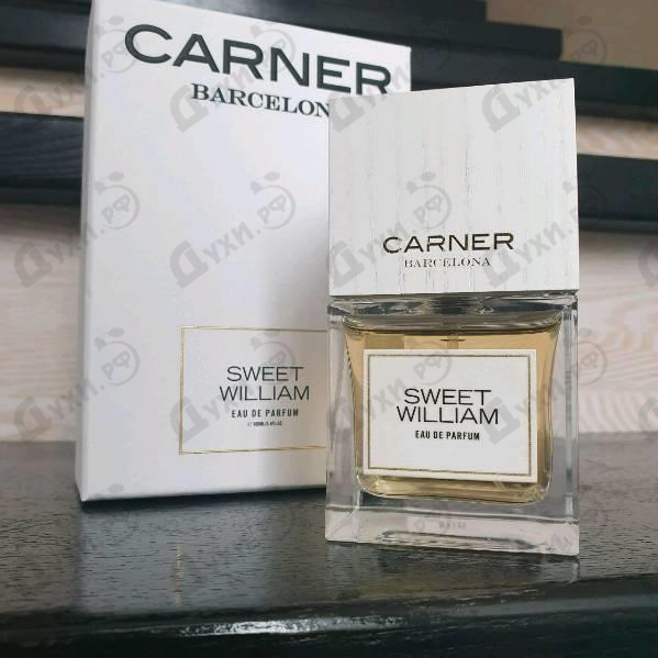 Духи Sweet William от Carner Barcelona Отзывы Carner Barcelona Sweet William