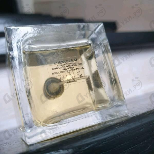 Отзывы Carner Barcelona Sweet William Купить Sweet William от Carner Barcelona