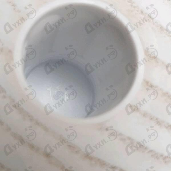 Парфюм Carner Barcelona Sweet William Духи Sweet William от Carner Barcelona