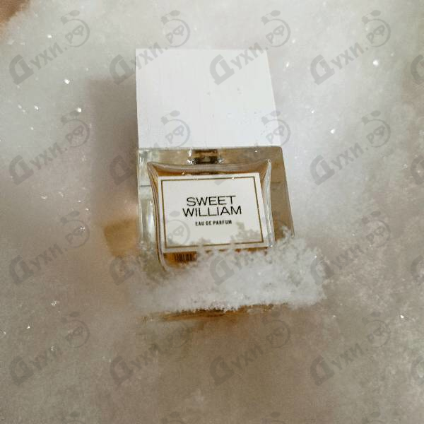 Парфюмерия Sweet William от Carner Barcelona Купить Carner Barcelona Sweet William
