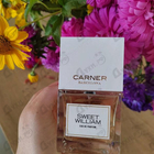 Отзыв Carner Barcelona Sweet William