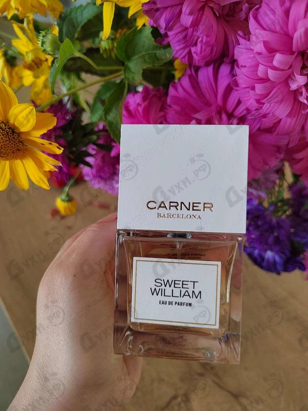 Духи Carner Barcelona Sweet William Парфюмерия Sweet William от Carner Barcelona