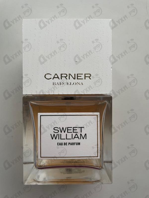 Духи Sweet William от Carner Barcelona