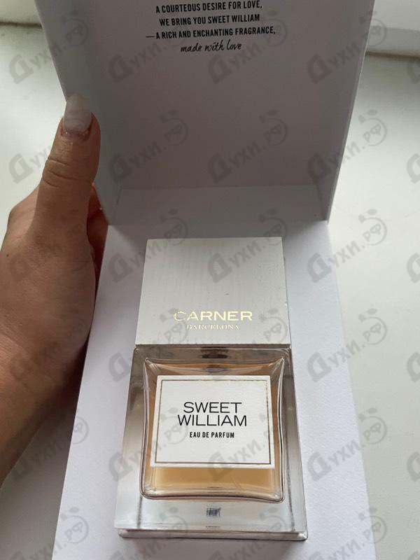 Парфюмерия Sweet William от Carner Barcelona Отзывы Carner Barcelona Sweet William