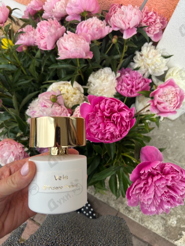 Купить Tiziana Terenzi Vele