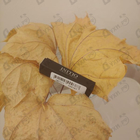 Парфюм Initio Addictive Vibration