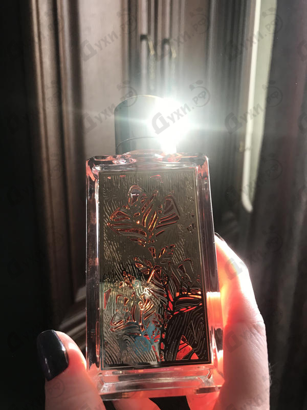 Отзывы Lancome Roses Berberanza