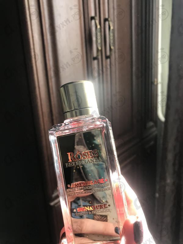 Купить Roses Berberanza от Lancome