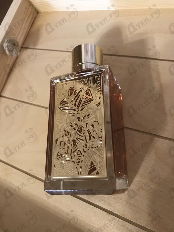 Парфюмерия Lancome Roses Berberanza