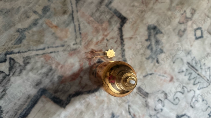 Отзывы Montale Arabians