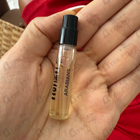 Отзывы Montale Arabians