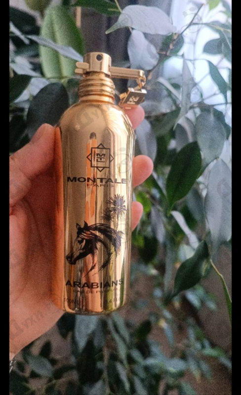 Духи Arabians от Montale