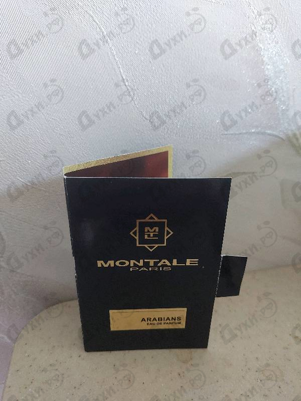 Купить Montale Arabians
