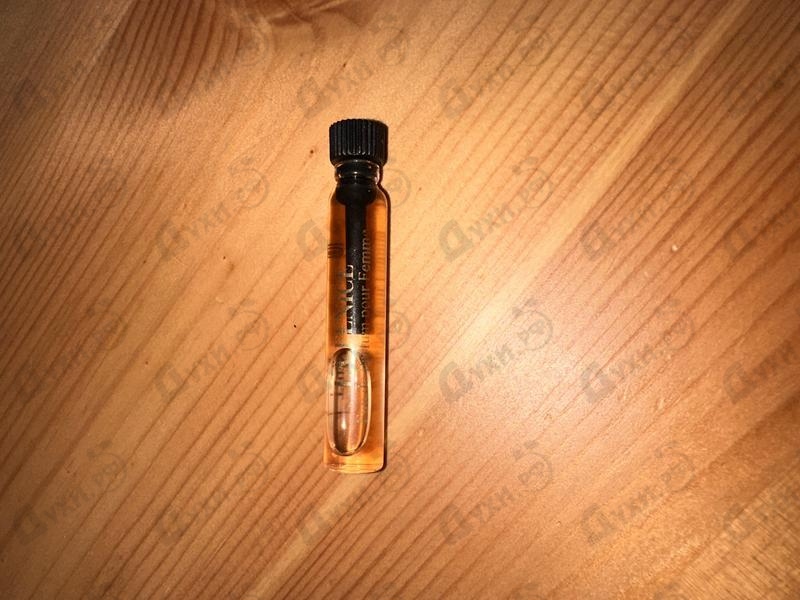 Купить La Fenice от The Merchant of Venice