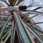 Отзыв Jo Malone Orange Bitters