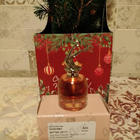 Парфюм Jean Paul Gaultier Scandal