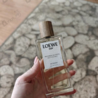 Отзывы Loewe Loewe 001