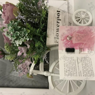 Духи Delina от Parfums de Marly