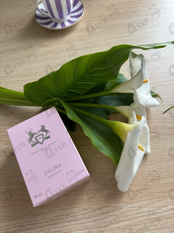 Купить Delina от Parfums de Marly