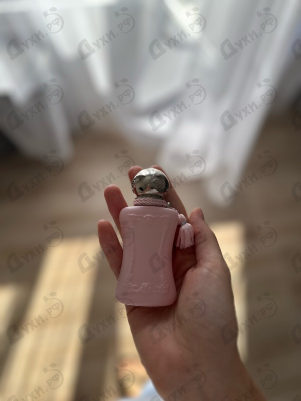 Купить Delina от Parfums de Marly