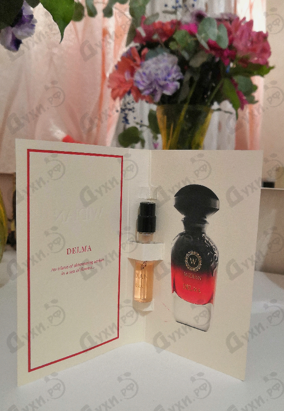 Парфюмерия Delma от AJ Arabia Отзывы AJ Arabia Delma