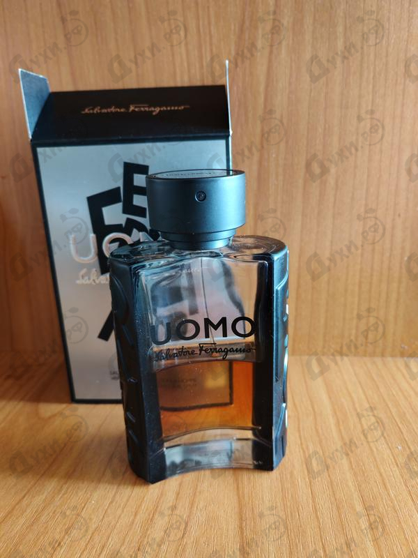 Купить Uomo от Salvatore Ferragamo