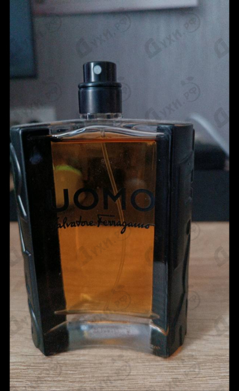 Купить Salvatore Ferragamo Uomo