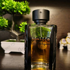 Отзывы Salvatore Ferragamo Uomo