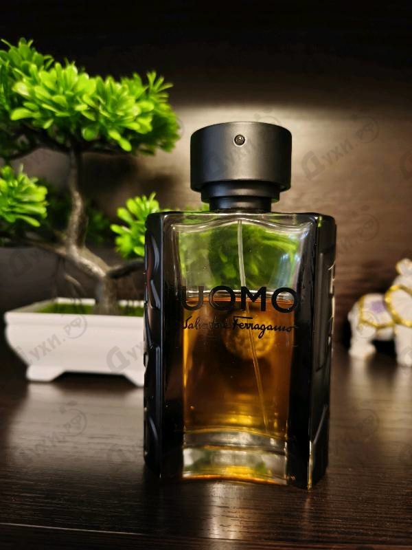 Купить Uomo от Salvatore Ferragamo