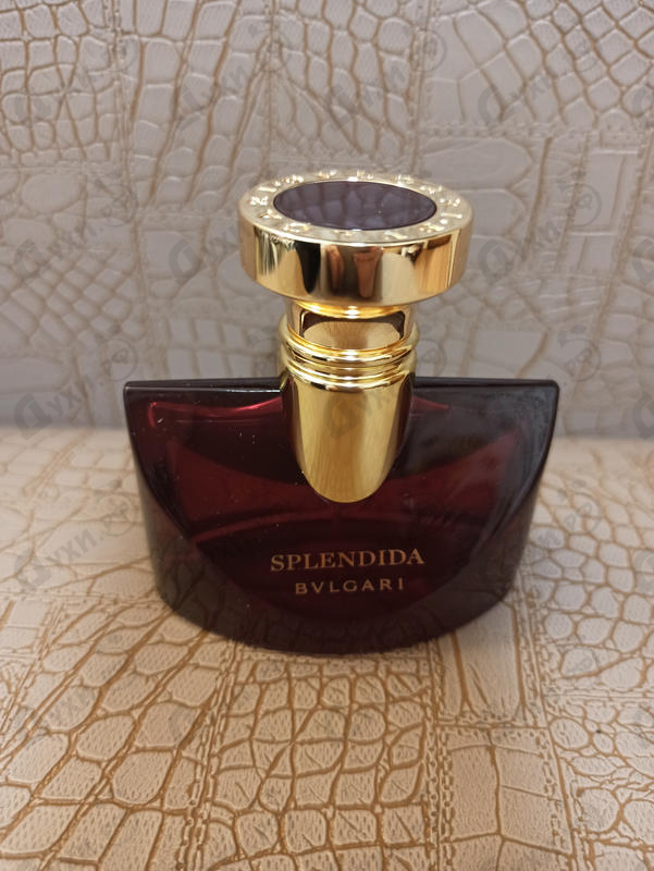 Купить Splendida Magnolia Sensuel от Bvlgari