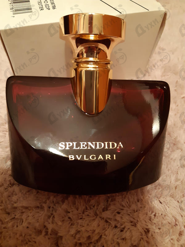 Купить Splendida Magnolia Sensuel от Bvlgari