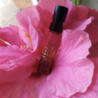 Отзывы Gucci Gucci Guilty Absolute