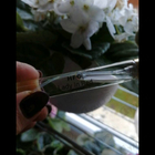 Отзыв Haute Fragrance Company Lady In Red