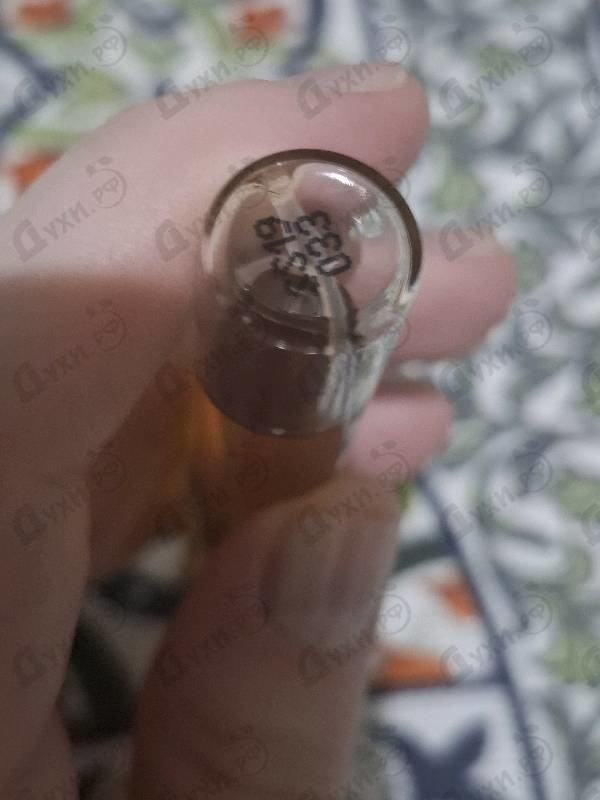 Отзыв Haute Fragrance Company Sweet & Spoiled