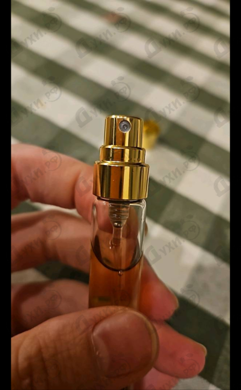 Отзывы Haute Fragrance Company Sweet & Spoiled