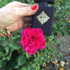 Отзывы Initio Psychedelic Love