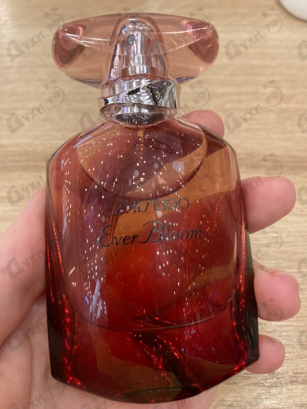 Купить Ever Bloom Ginza Flower от Shiseido